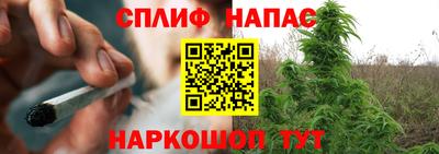 крисы Татарск