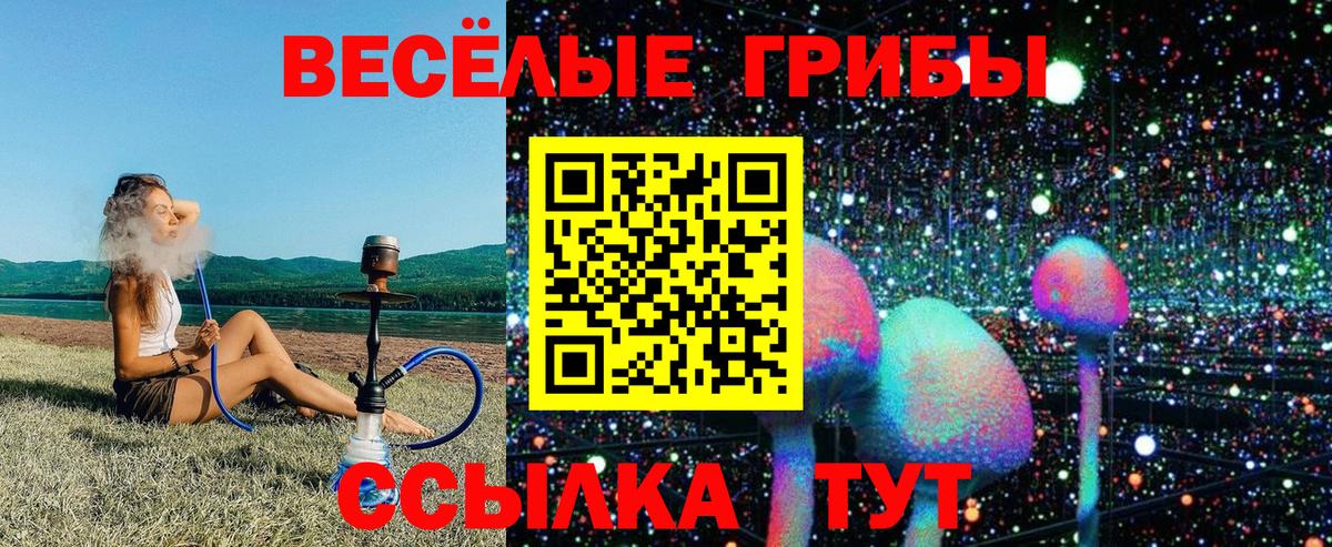 Псилоцибиновые грибы мицелий  цена наркотик  Алушта  Галлюциногенные грибы Cubensis  Вход с VPN 