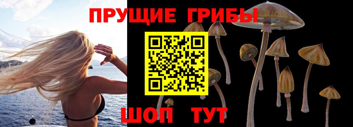Галлюциногенные грибы Psilocybine cubensis Алушта